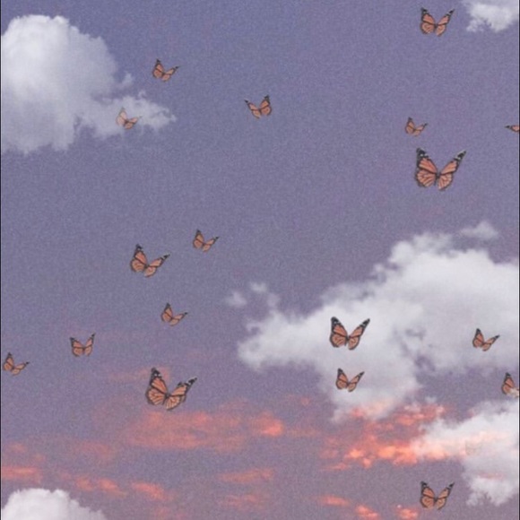 Meet your Posher, Celine - Picture 1 of 1